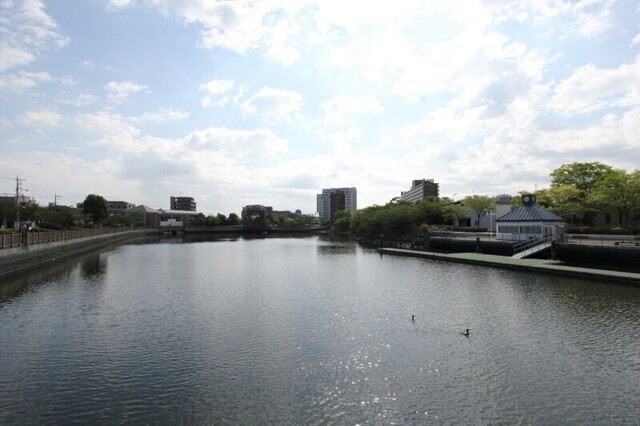 IMG_1226.JPG