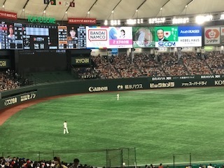 IMG_2177.jpg