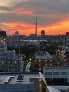 IMG_3913.jpg