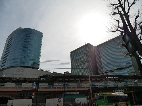 P1130852.JPG