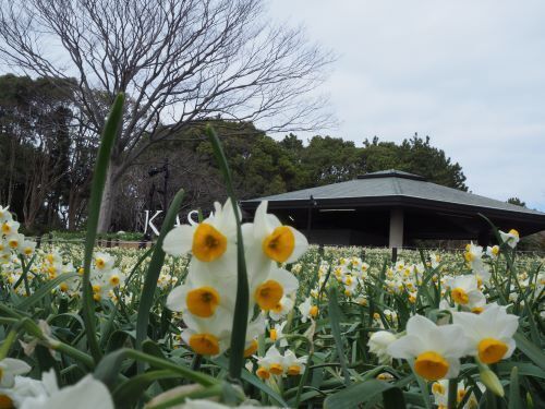 P2170108.JPG