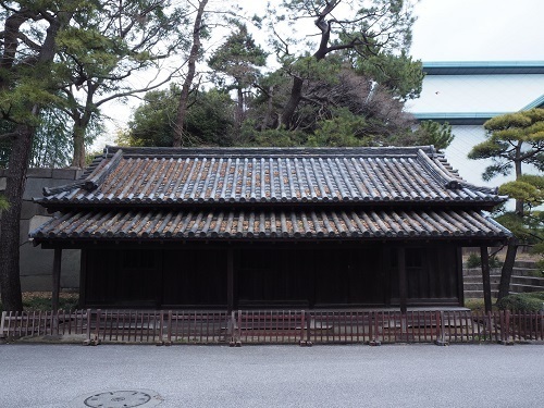 P2190629.JPG