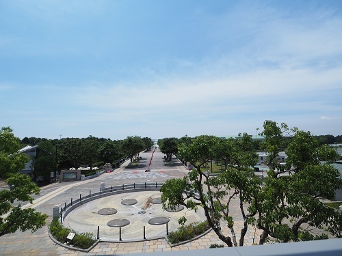 P6111333.JPG