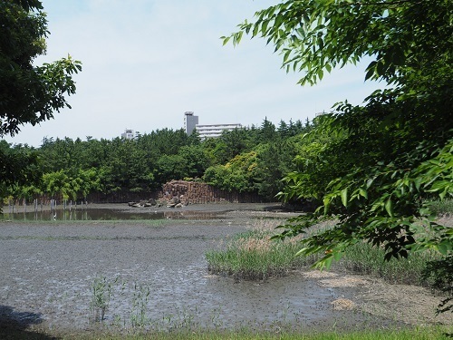 P6111347.JPG